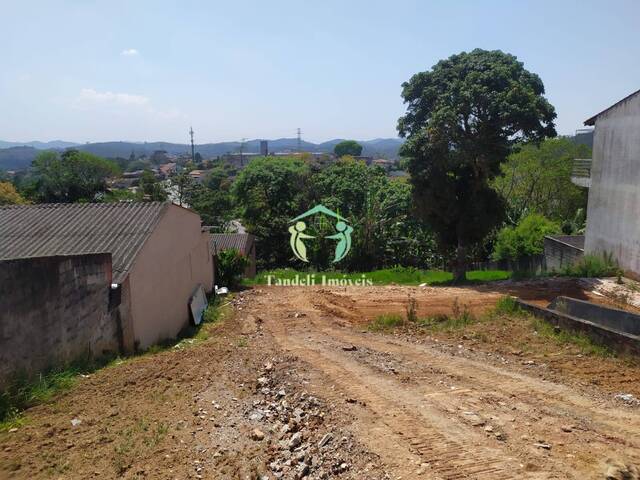 #006705 - Terreno para Venda em Ribeirão Pires - SP - 3