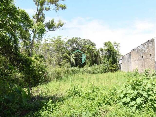 #006810 - Terreno em condomínio para Venda em Peruíbe - SP - 2