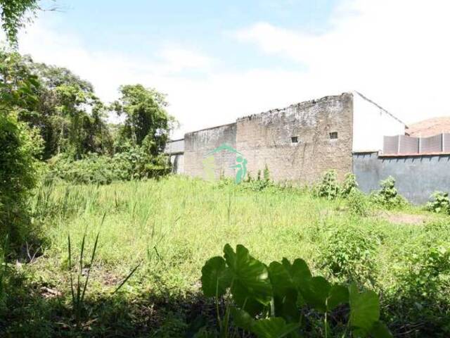 #006810 - Terreno em condomínio para Venda em Peruíbe - SP - 3